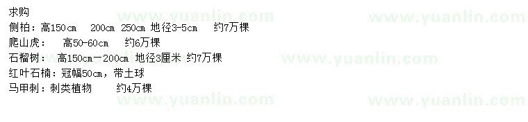 求購(gòu)側(cè)柏、爬山虎、石榴樹等