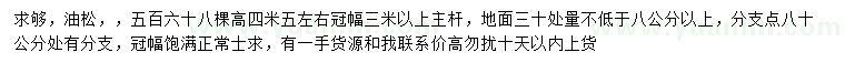 求購地徑30公分量8公分以上油松