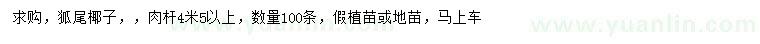 求購4.5米以上狐尾椰子
