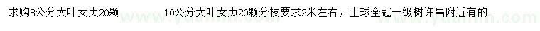 求購8、10公分大葉女貞
