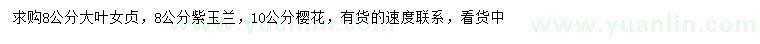 求購大葉女貞、紫玉蘭、櫻花
