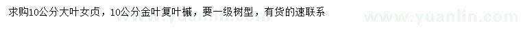 求購10公分大葉女貞、金葉復(fù)葉槭
