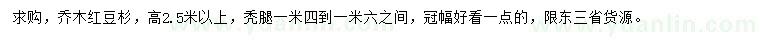求購(gòu)高2.5米以上紅豆杉