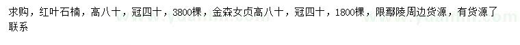 求購(gòu)高80公分紅葉石楠、金森女貞