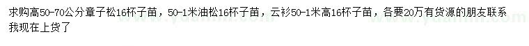求購章子松、油松、云杉