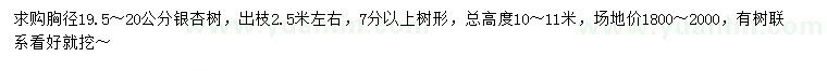 求購胸徑19.5-20公分銀杏