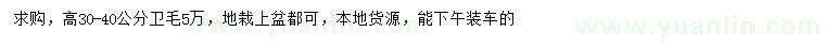 求購高30-40公分衛(wèi)毛