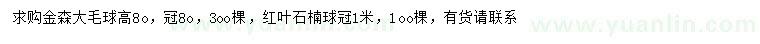 求購高80公分金森大毛球、冠幅1米紅葉石楠球