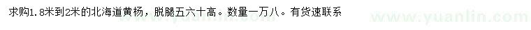 求購1.8-2米北海道黃楊