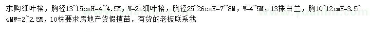 求購胸徑13-15、25-26公分細(xì)葉榕、10-12公分白蘭