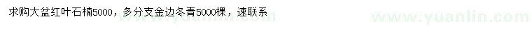 求購紅葉石楠、金邊冬青