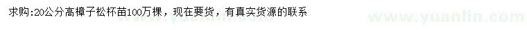 求購高20公分樟子松