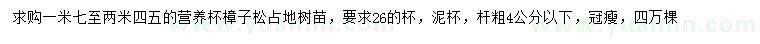 求購4公分樟子松