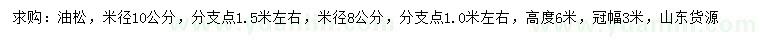 求購米徑10公分油松