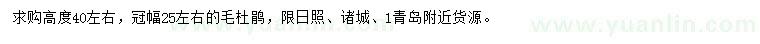 求購高40公分左右毛杜鵑