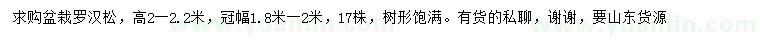 求購高2-2.2米羅漢松