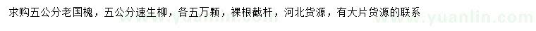 求購5公分老國槐、速生柳