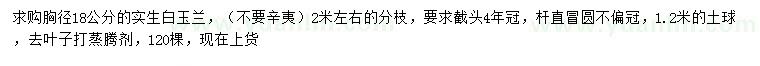 求購胸徑18公分實(shí)生白玉蘭