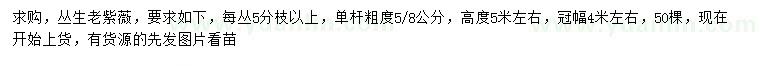 求購高5米左右叢生老紫薇