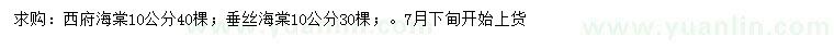 求購10公分西府海棠、垂絲海棠