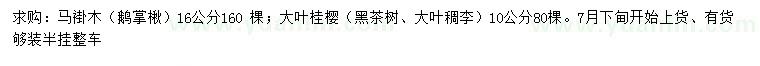求購(gòu)16公分馬褂木、10公分大葉桂櫻