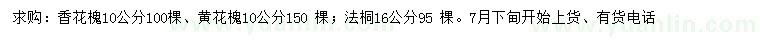 求購香花槐、黃花槐、法桐