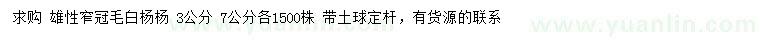 求購3、7公分窄冠毛白楊