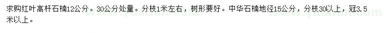 求購(gòu)30公分量12公分紅葉高桿石楠、地徑15公分中華石楠