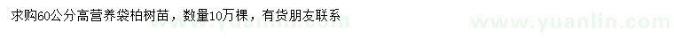 求購高60公分柏樹