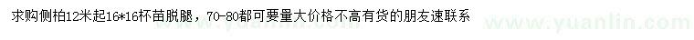 求購高1.2米起側(cè)柏