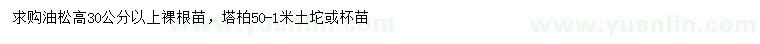 求購(gòu)高30公分以上油松、50-100公分塔柏