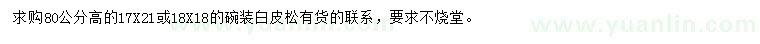 求購高80公分白皮松