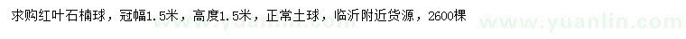 求購高1.5米紅葉石楠球