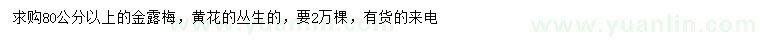 求購(gòu)80公分以上金露梅