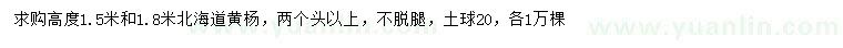 求購高1.5、1.8米北海道黃楊