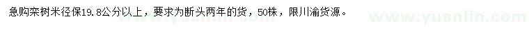 求購米徑19.8公分以上欒樹