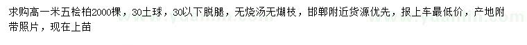 求購(gòu)高1.5米檜柏
