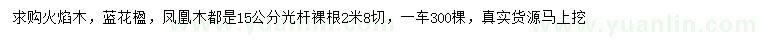求購火焰木、藍花楹、鳳凰木