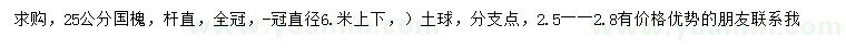 求購25公分國槐