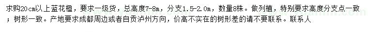 求購(gòu)20公分以上藍(lán)花楹