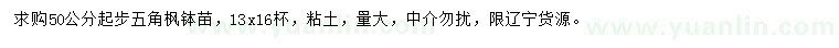 求購50公分起步五角楓