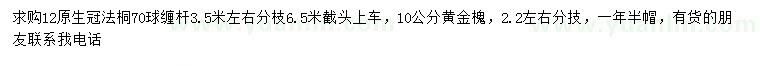 求購12公分法桐、10公分黃金槐
