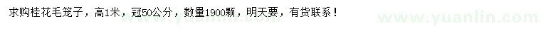求購(gòu)高1米桂花毛籠子