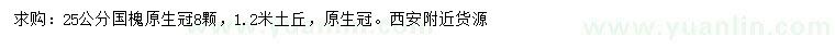 求購25公分國槐