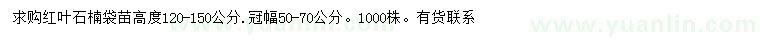 求購高120-150公分紅葉石楠