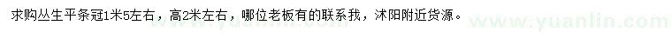 求購高2米左右叢生平條