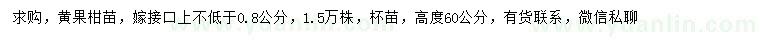 求購0.8公分黃果柑苗
