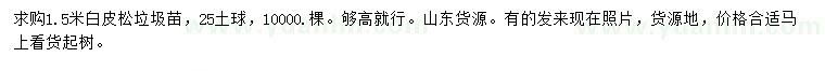 求購1.5米白皮松
