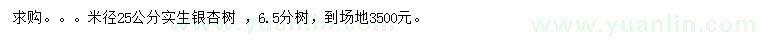 求購米徑25公分實生銀杏