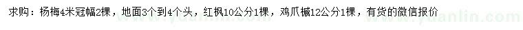 求購楊梅、紅楓、雞爪槭